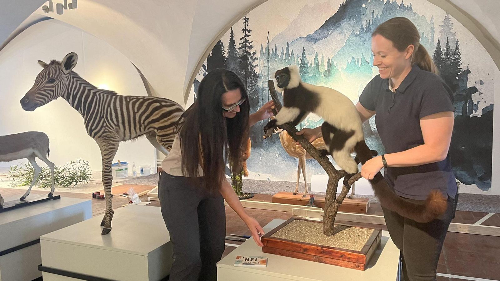 Auge-in-Auge-mit-dem-Tiger-auf-der-Heidecksburg