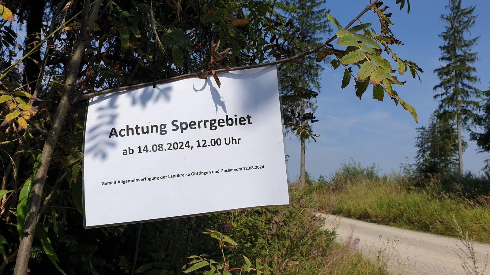 21 neue Bilder Rainbow Family Gathering und Einsatz im Harz