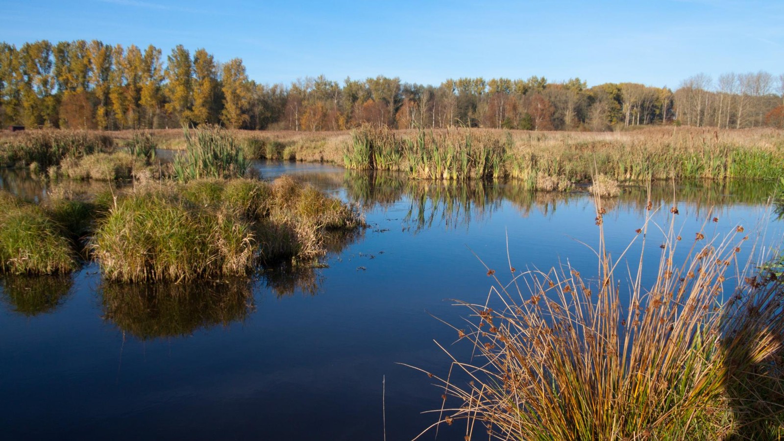 Leiche-im-Moor-gefunden-Was-bisher-bekannt-ist