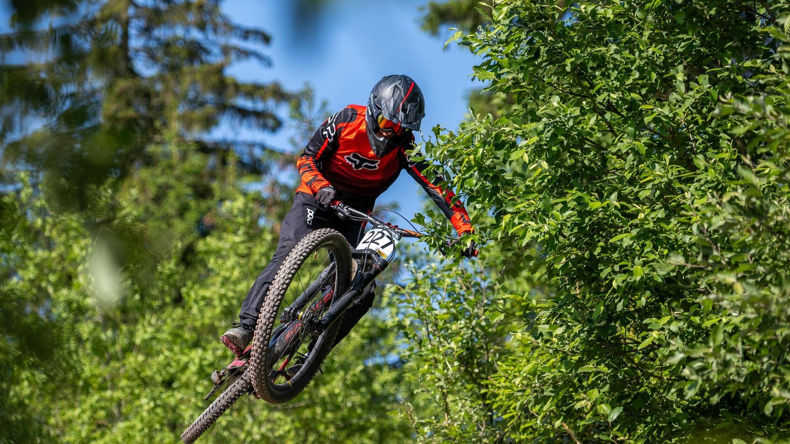 Chaoten-im-Wald-Warum-der-Forst-ein-Hooligan-Problem-hat