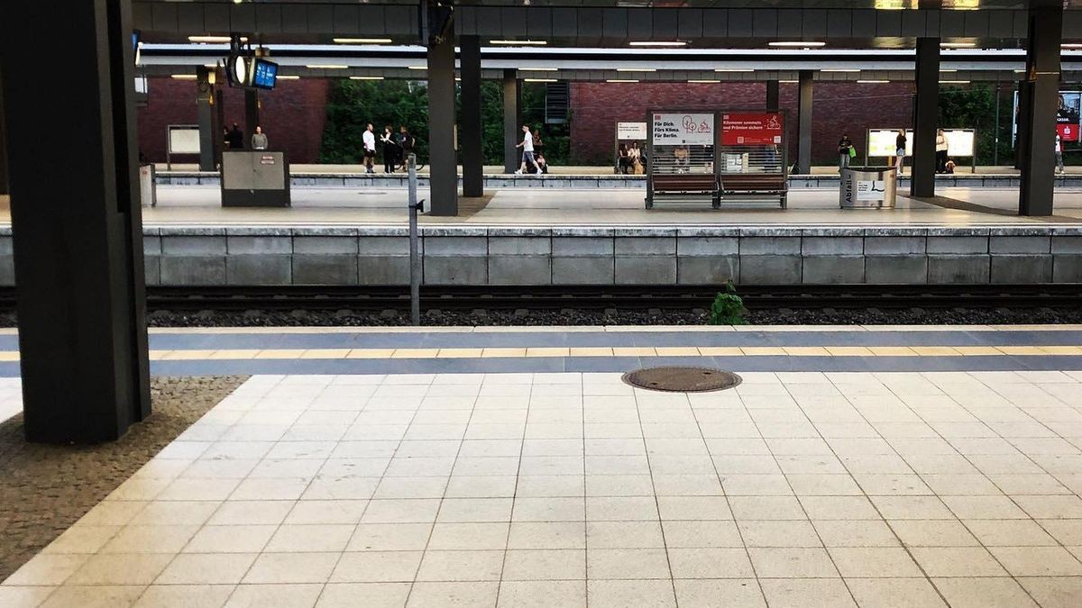 Bodibilder bilan jinsiy aloqa