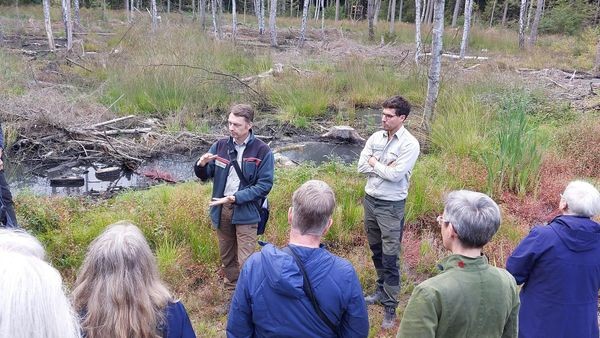 Lichtung im Forst Karnap wird wieder zum Waldmoor