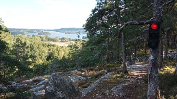 Was macht eine Ampel im Wald von Ronja Räubertochter?