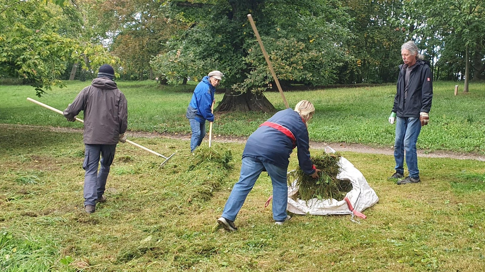 Natursch-tzer-in-Nordhausen-beklagen-den-Verlust-von-zwei-Orchideen-Arten