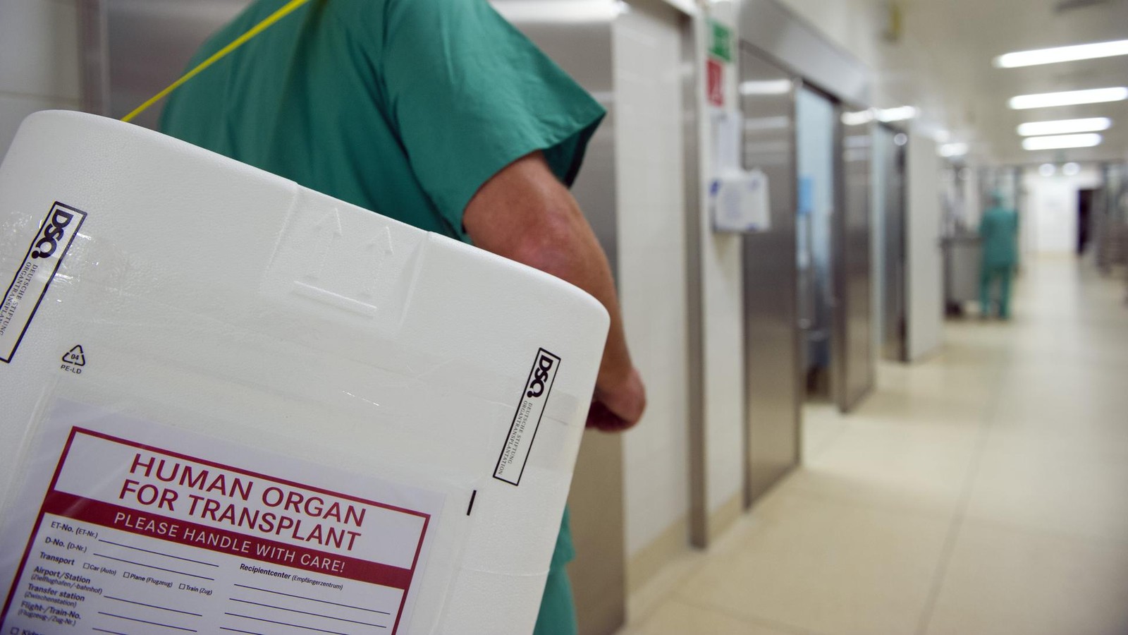 Urteil-Krankenkasse-muss-nicht-f-r-Nierentransplantation-in-Niederlanden-zahlen