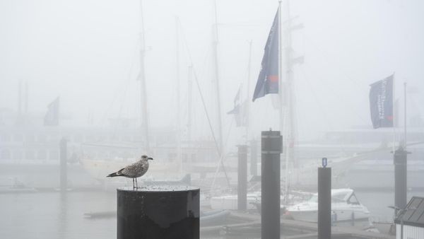 Weiße Wand – Oktober geht mit dichtem Nebel in die Schlussphase