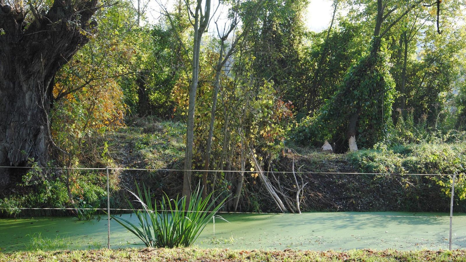 Eine-Tagung-und-zwei-Konzerte-Die-Meldungen-aus-dem-Saale-Holzland