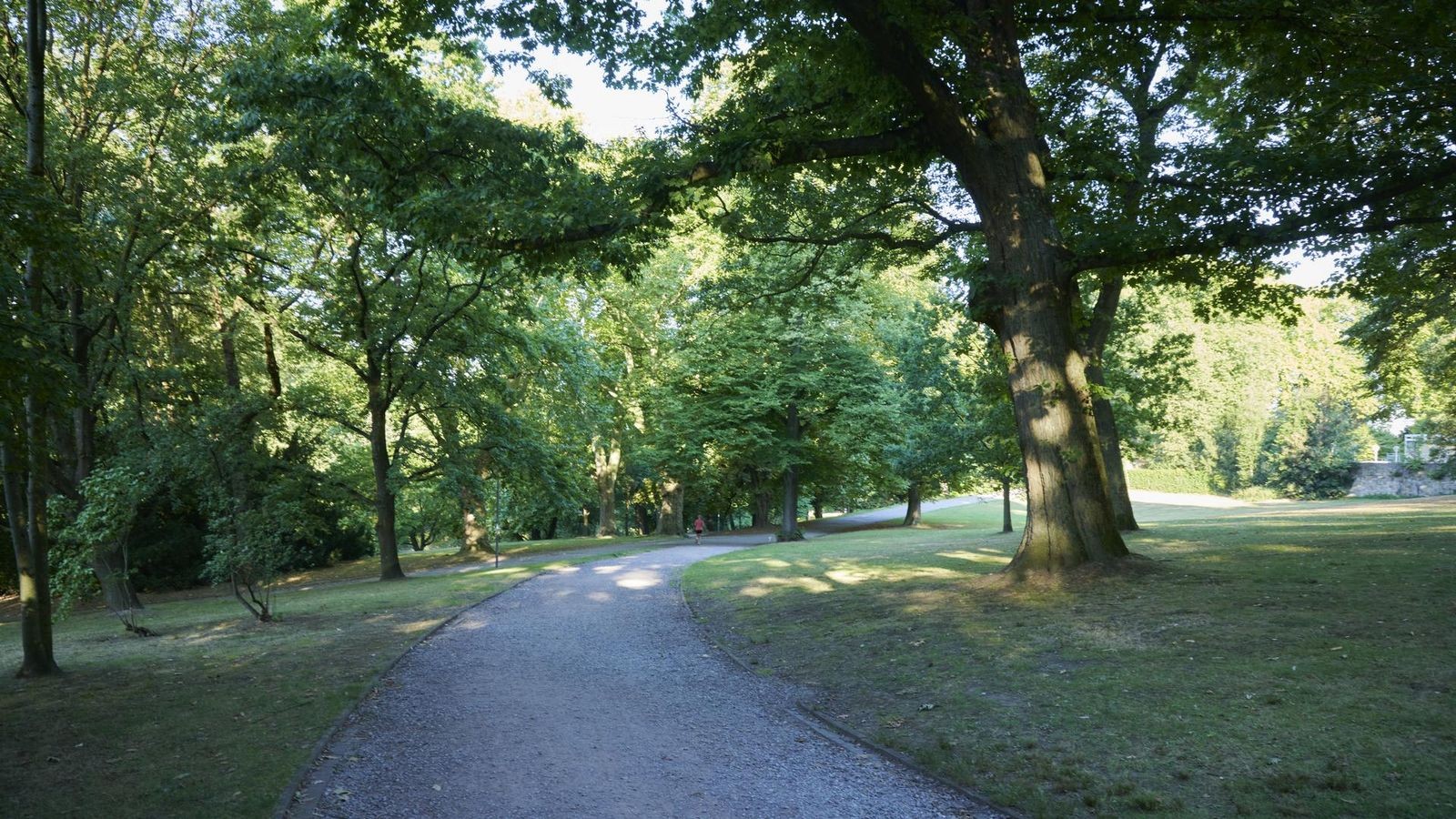 Exhibitionist-im-Stadtpark-Polizei-sucht-auch-Passanten
