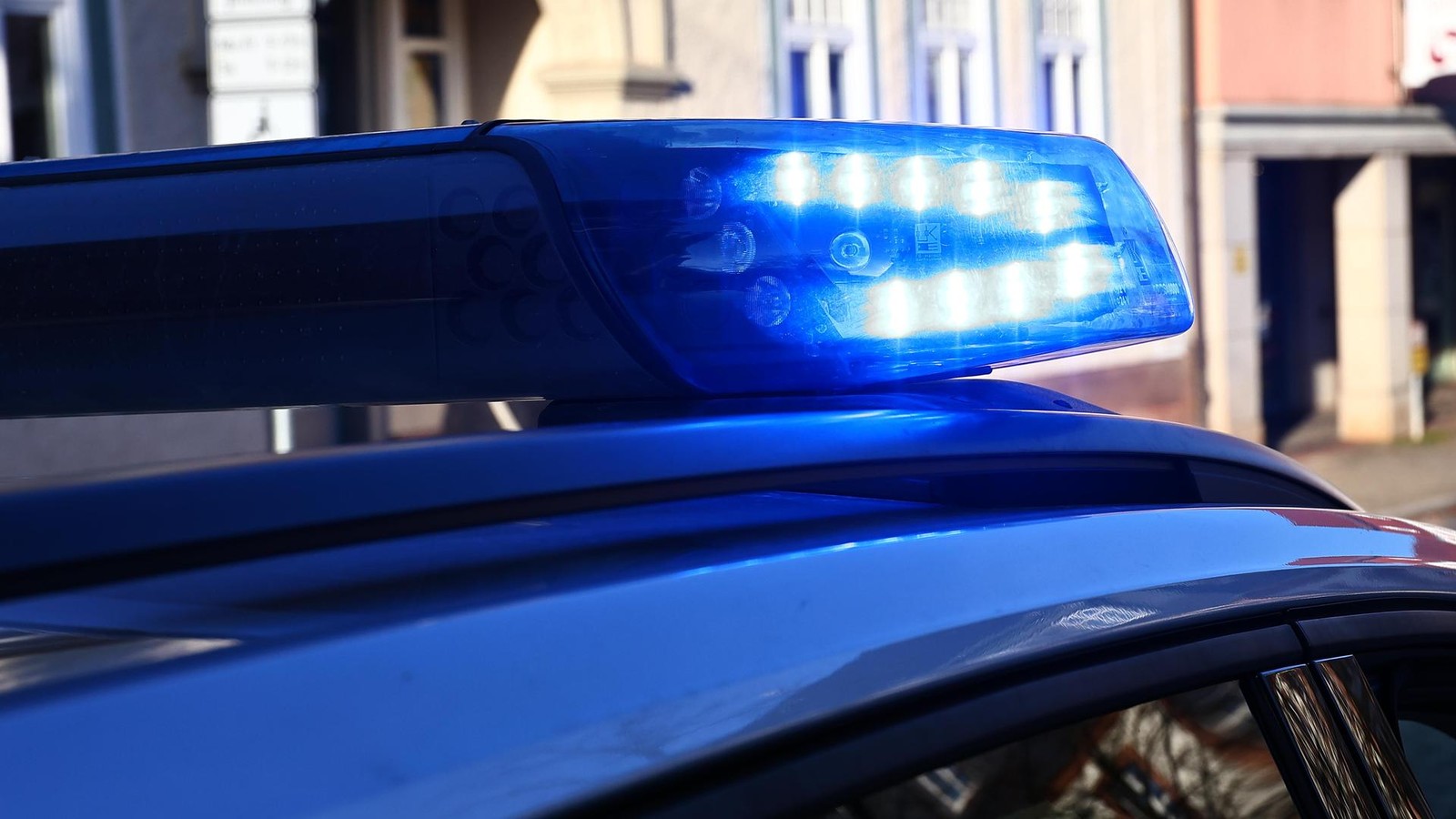 Kreis-Greiz-Unbekannte-randalieren-in-einem-Garten-Polizei-bittet-um-Hilfe