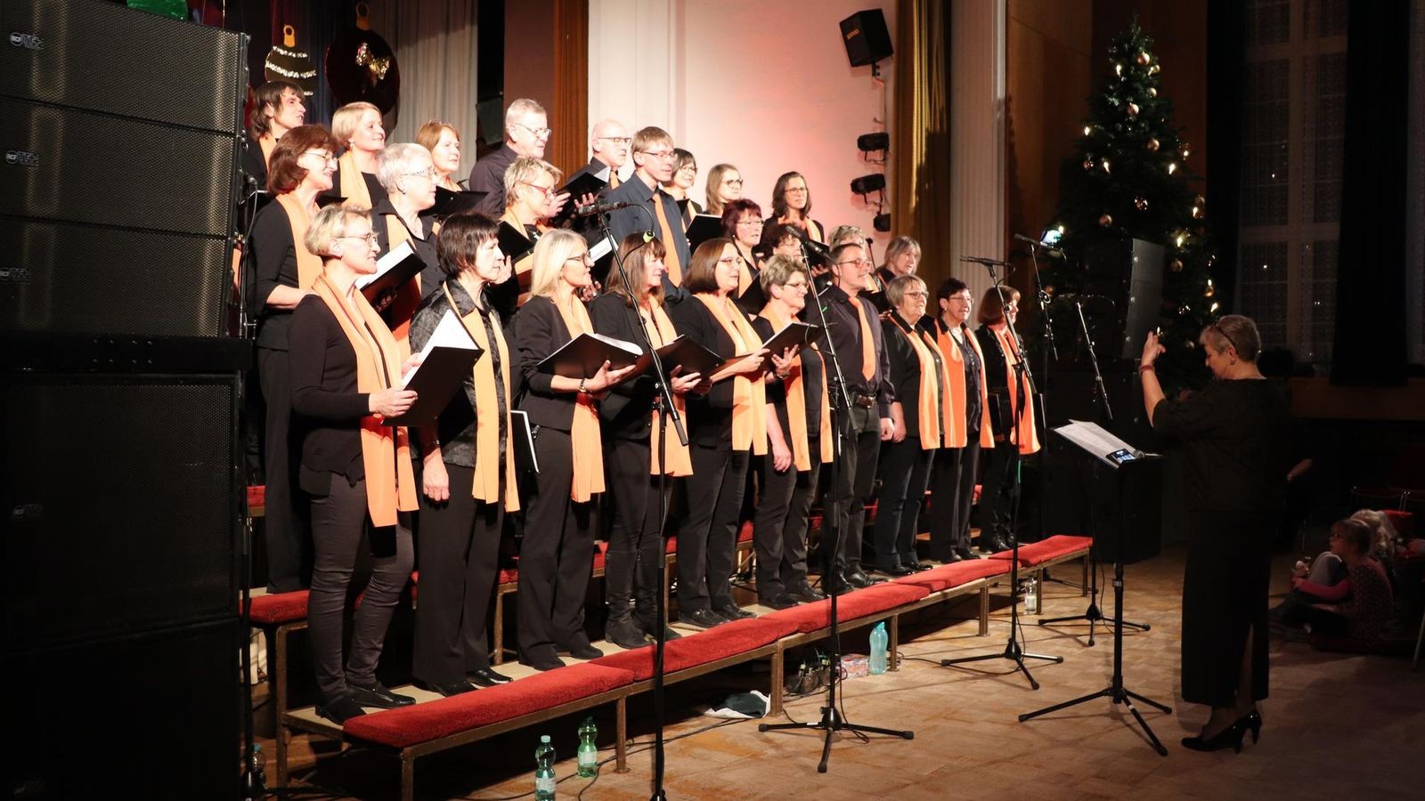 Der-Ton-macht-die-Musik-Wie-geht-es-mit-dem-Sound-im-Bad-Lobensteiner-Kulturhaus-weiter-