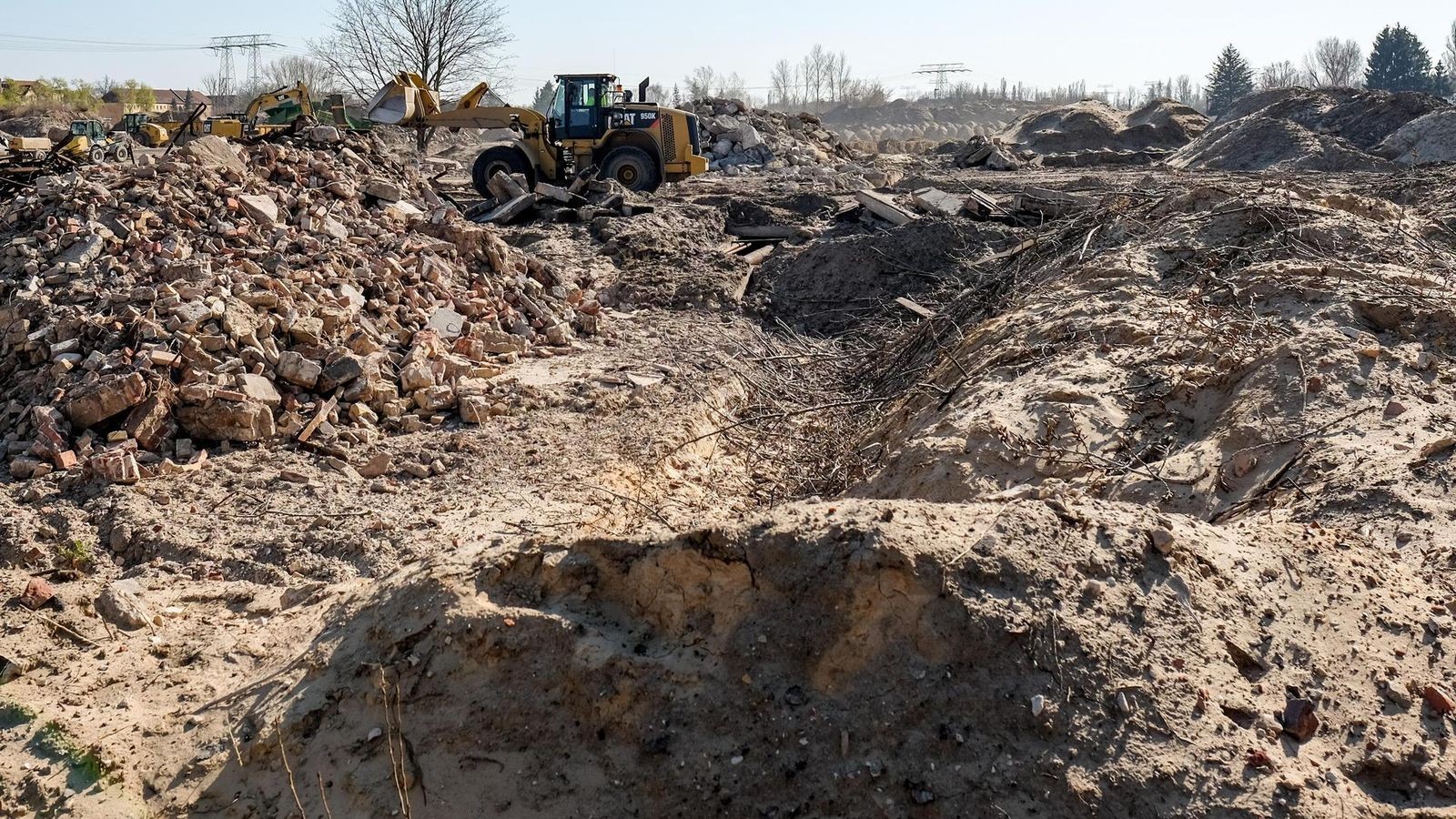 Hier-thronten-einst-die-Holzk-nige-von-der-Spree-