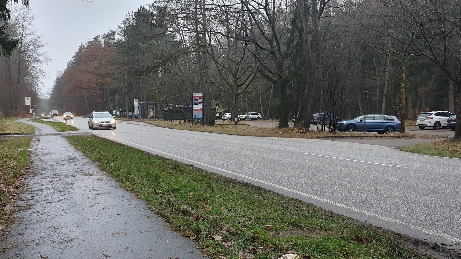 Auf-der-B5-droht-Vollsperrung-weil-B-ume-gef-llt-werden