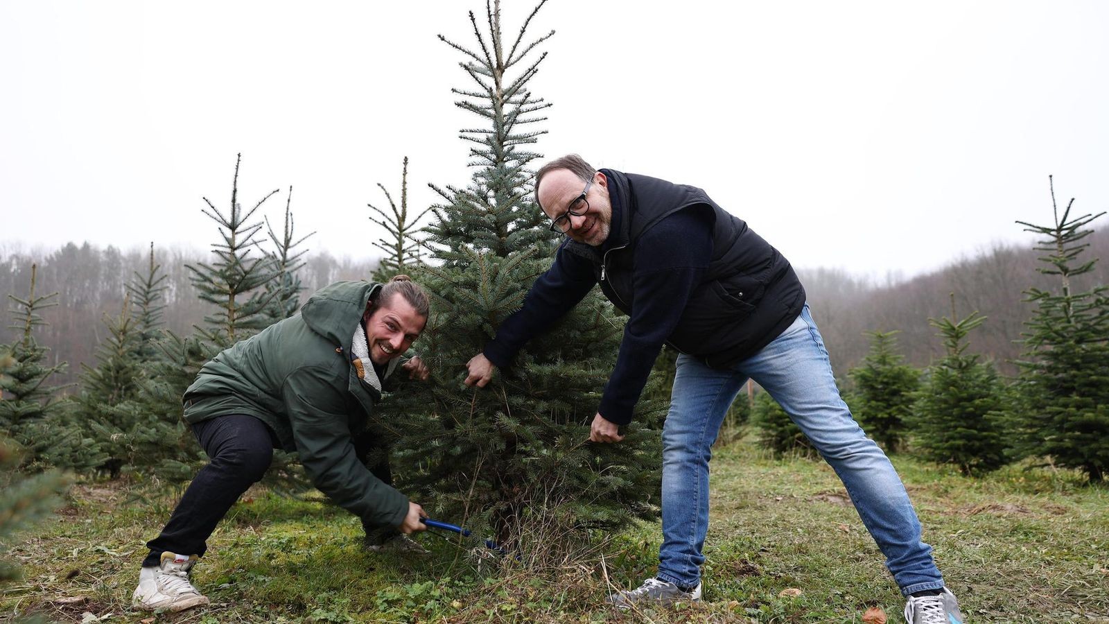 Weihnachtsbaum selbst schlagen Ein Erlebnis für Familien