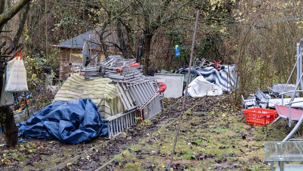 Salzgitteraner beschweren sich per App über Müll an Straßenrändern und im Wald