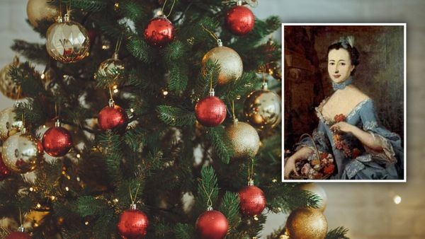 Warum das Weiße Haus ohne Wolfenbüttel keinen Weihnachtsbaum hätte