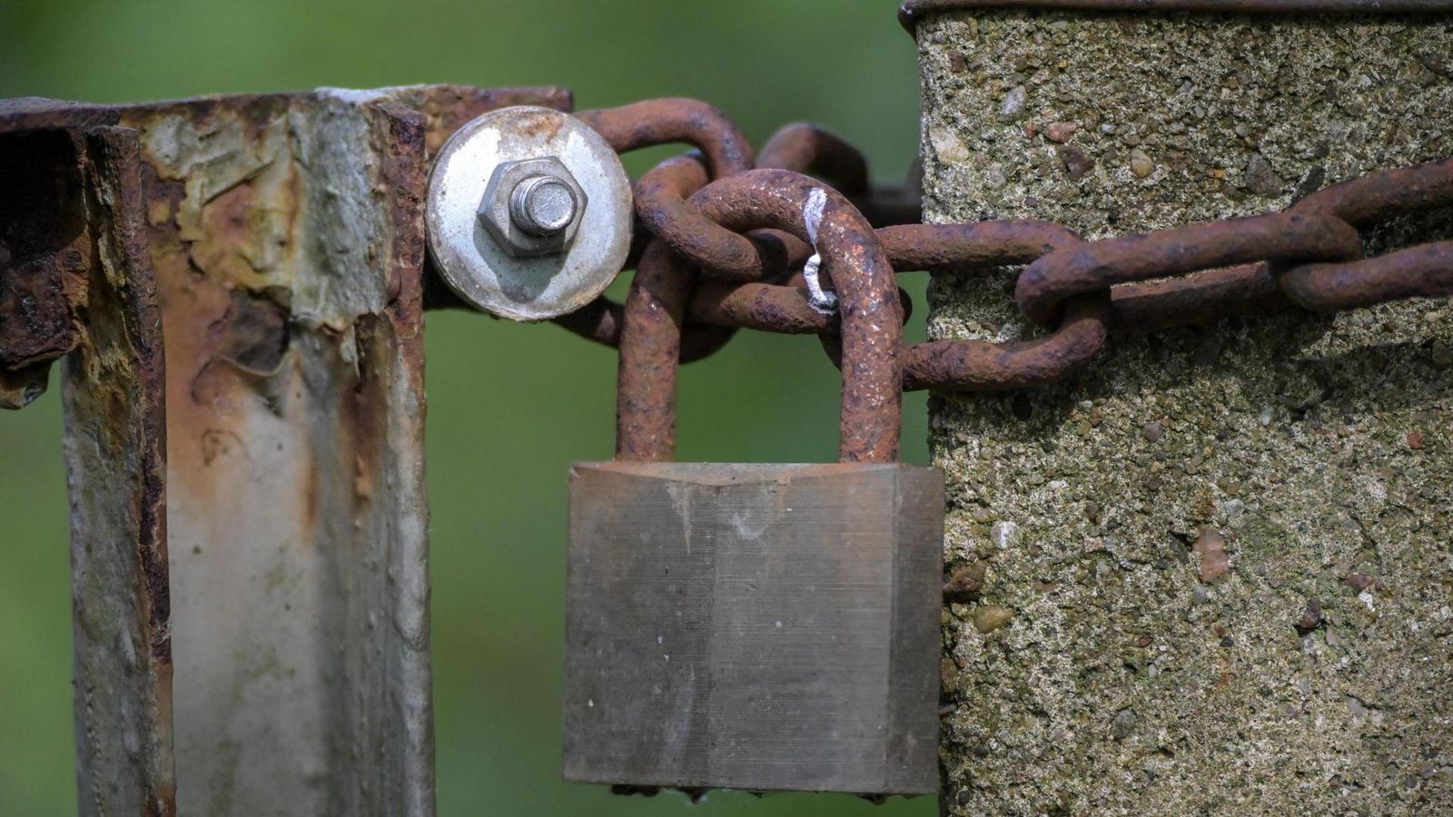 Berlins-Bauern-Universit-t-ist-heute-eine-Zombie-Landschaft