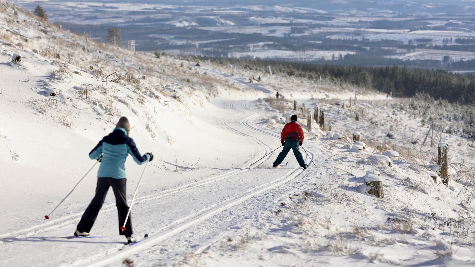 Schnee-im-Harz-Die-neun-sch-nsten-Langlauf-Loipen-f-r-Einsteiger-und-Profis