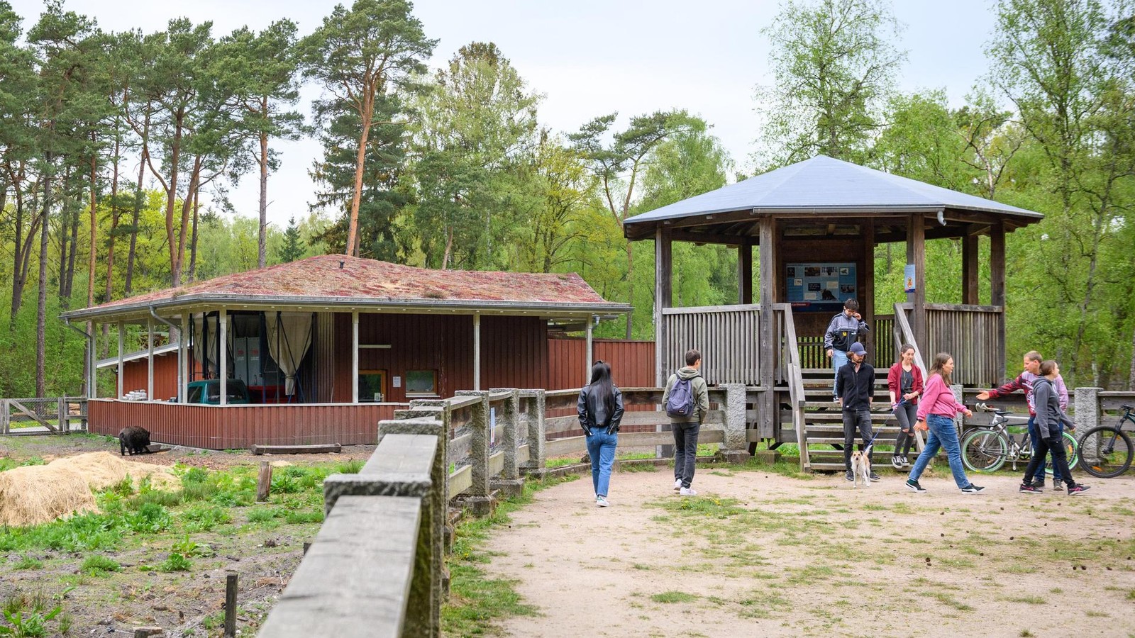 Harsche-Kritik-an-Wildgehege-Umbau-Kosten-laufen-aus-dem-Ruder-