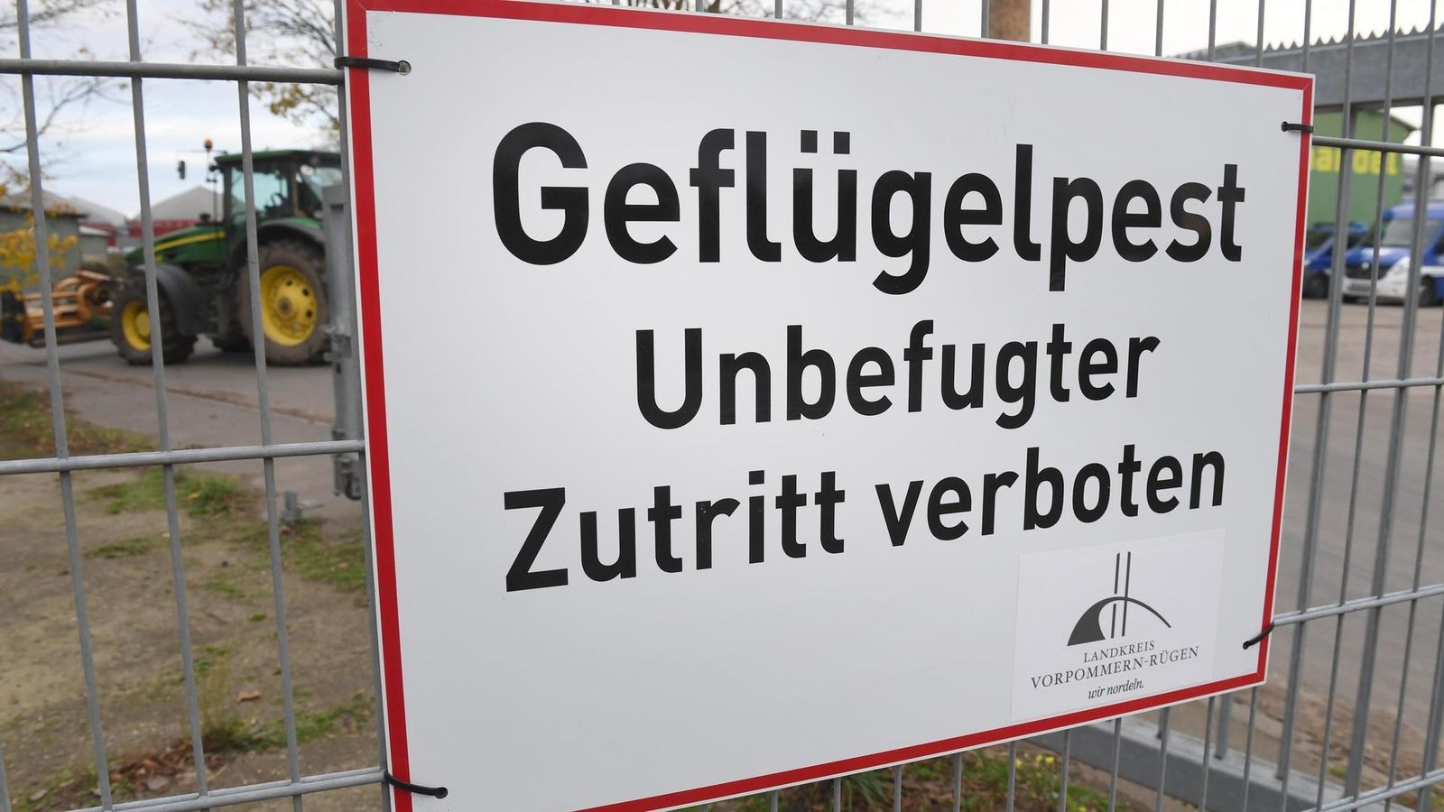 Gefl-gelpest-im-Landkreis-Greiz-ausgebrochen-Das-gilt-jetzt