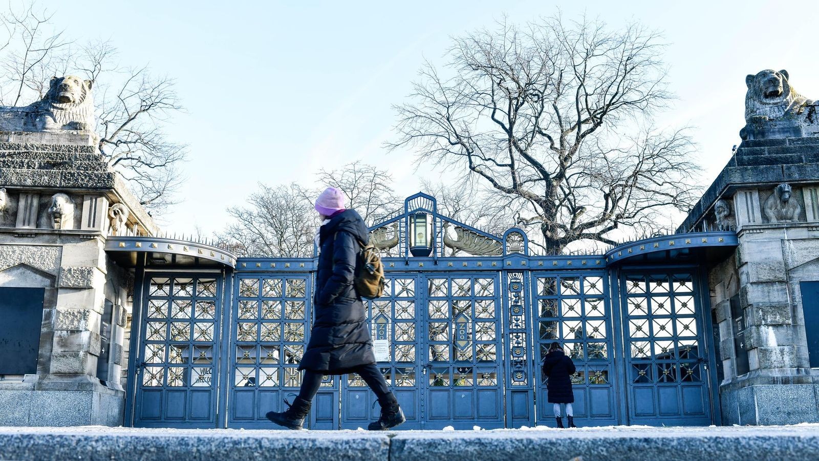 Berlin Zoo reopens on Friday - | with restrictions