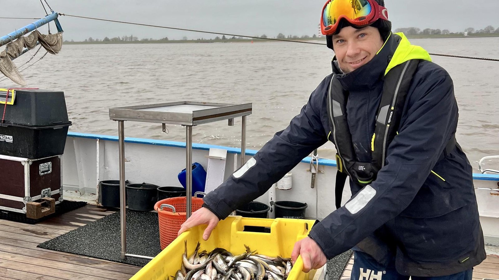 Endlich-wieder-Stint-Wo-es-den-Fisch-jetzt-frisch-vom-Elbkutter-gibt