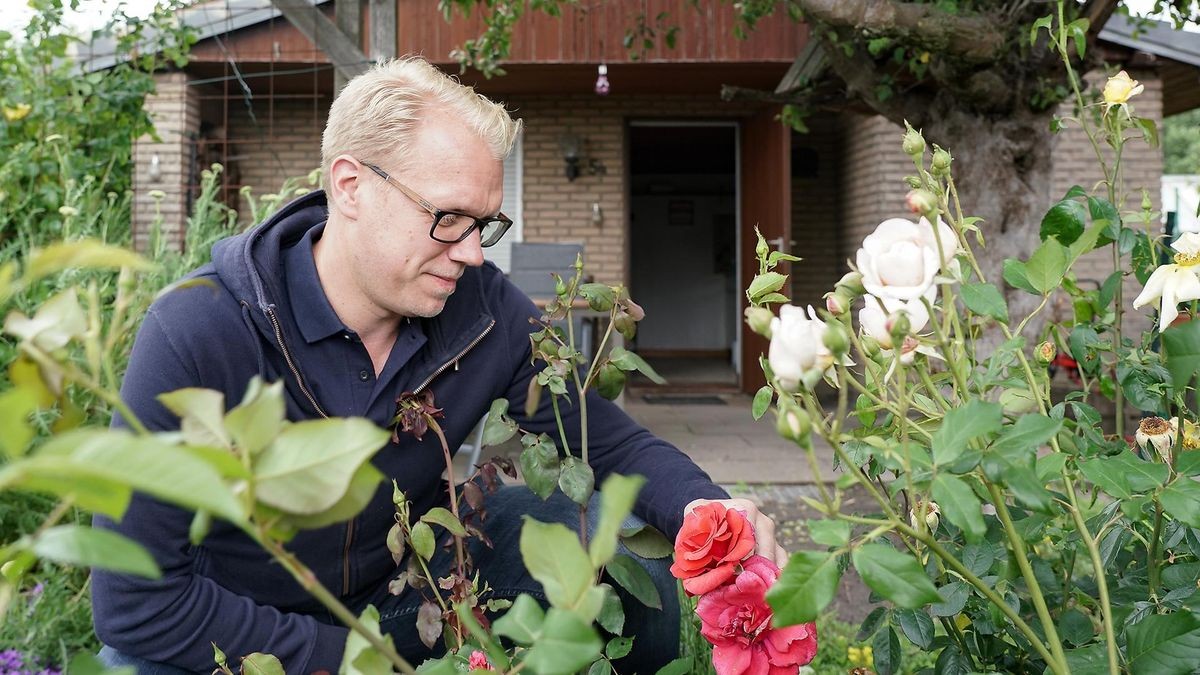 Herne Hendrik Bollmann (SPD) fordert eine „Agenda Migration“