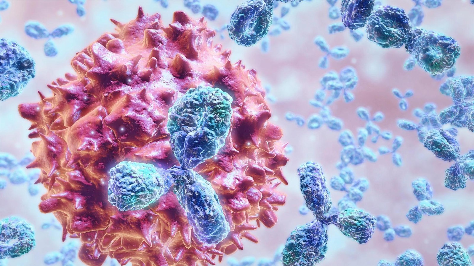 Unser-Immunsystem-Scharfes-Schwert-im-Kampf-gegen-den-Krebs