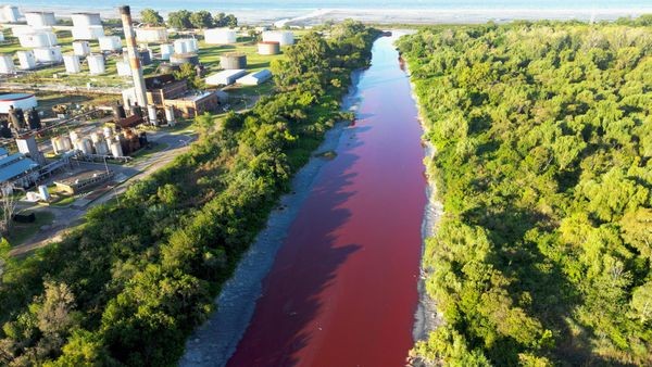 Rätselhafter „Blutstrom“: Ist der Sarandí-Kanal in Gefahr?