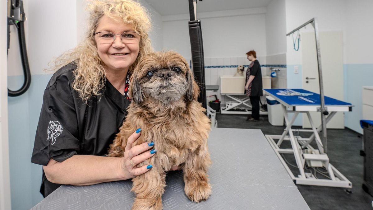 Fellzauber Hundesalon Bochum