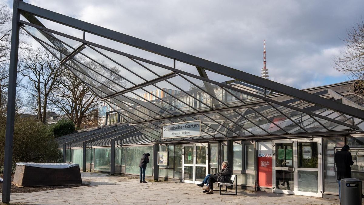 Planten un Blomen Hamburgs neue Tropenhäuser erste Pflanzen sind