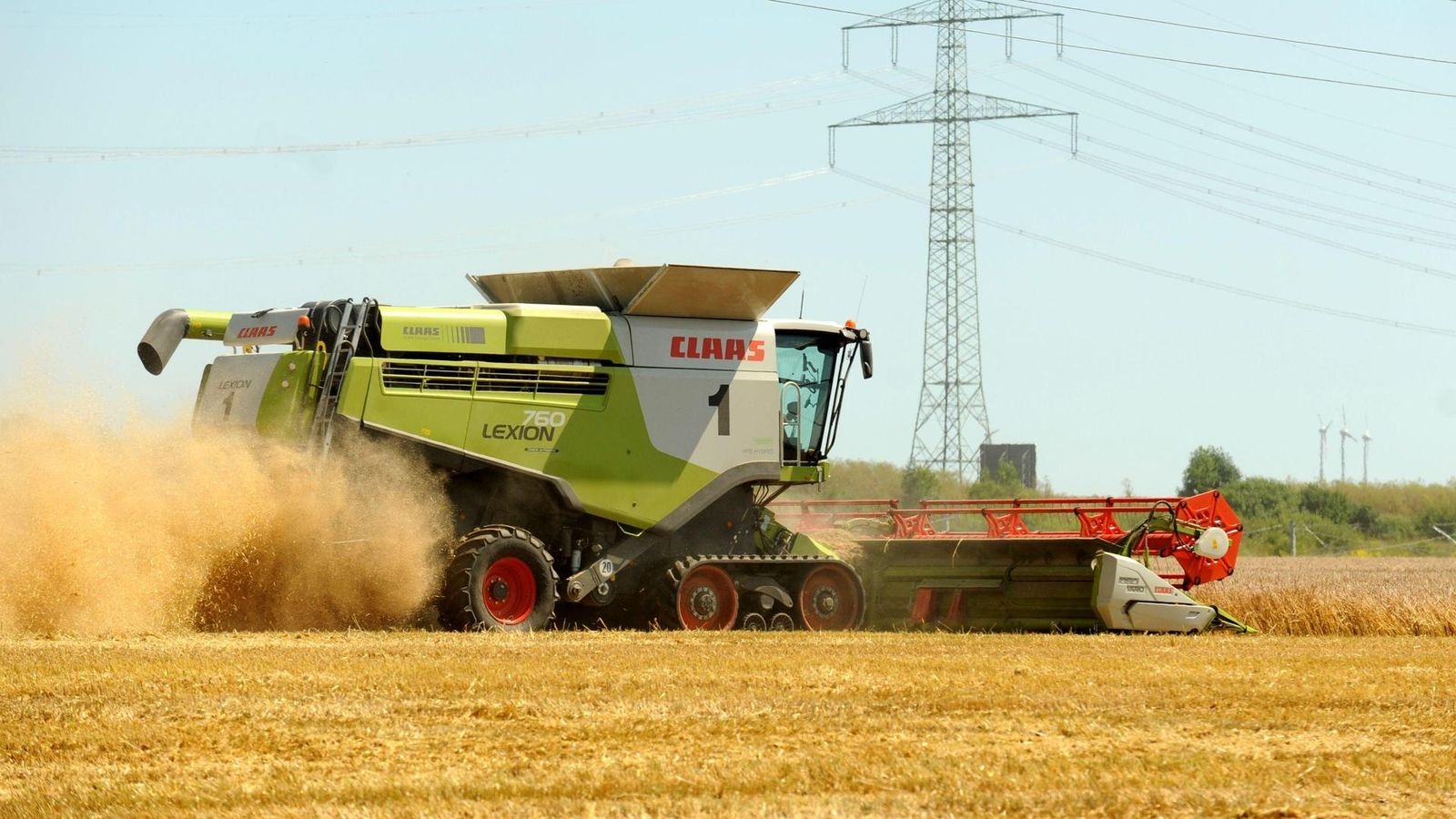 Saalfeld-Rudolstadt-Landwirt-zieht-f-r-2025-Bilanz-und-fordert-Politik-zum-Handeln-auf