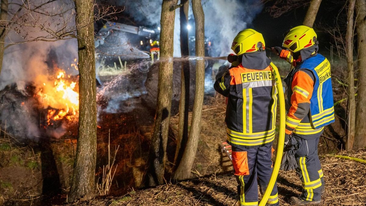 Polizei erwischt Brandstifter Kinder zünden im Weimarer Land