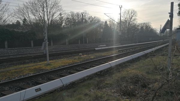 Strecke Hamburg-Berlin: Obstbäume müssen Bahnsanierung weichen