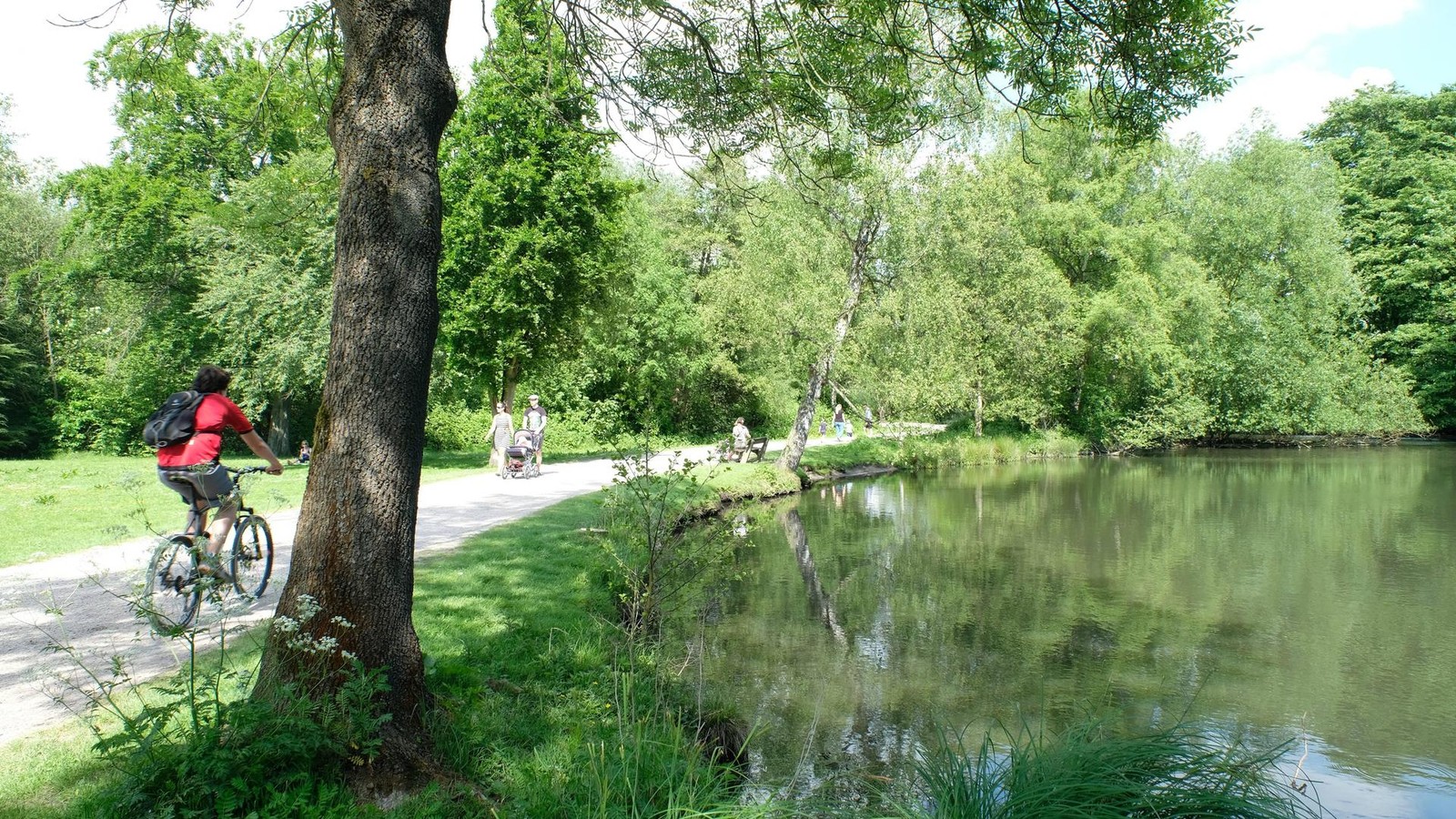 Alster-Elbe-Bille-und-Co-Hamburgs-Gew-sser-stark-mit-Giften-belastet
