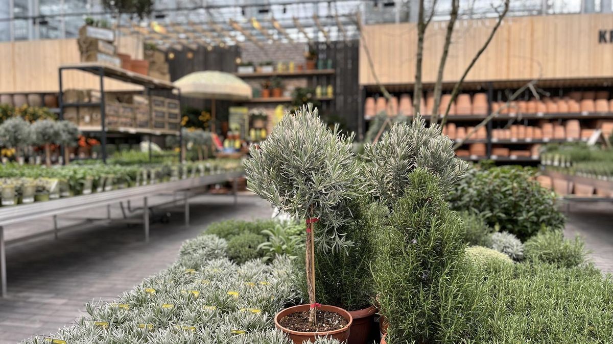 Neu in Siegen Gartencenter Kremer als Ausflugsziel? „Sehr besonders“