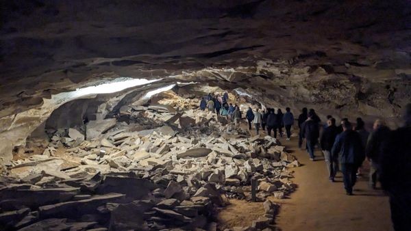 Forscher verblüfft: Millionen Jahre altes Mini-Raubtier entdeckt
