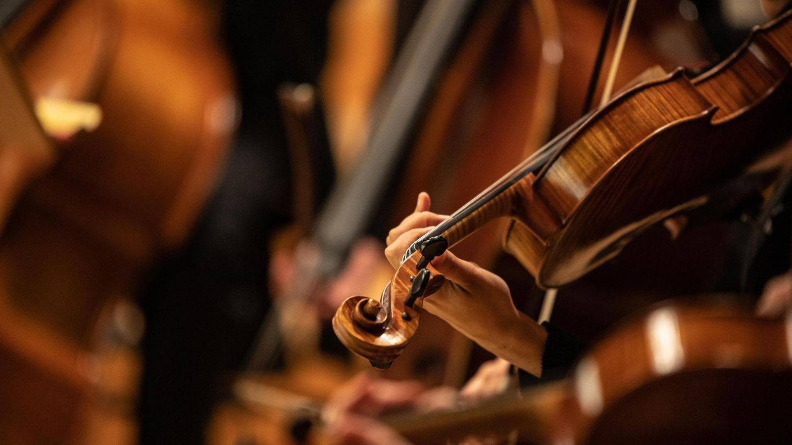 Wenn-sich-Leidenschaft-reimt-auf-Gulaschsaft-Kult-Songs-der-Operette-verzaubern-im-Theater-Altenburg-Gera