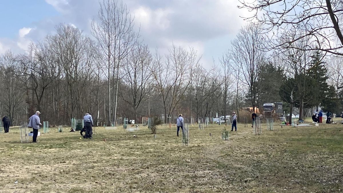 Sie wollen einen Wald in Gera-Lusan