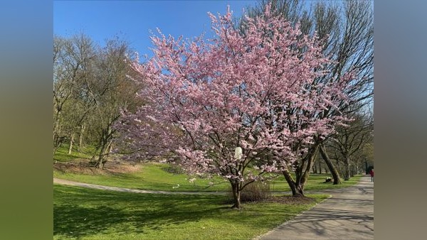 Auf ins Grüne! Das sind die schönsten Parks und Gärten in NRW