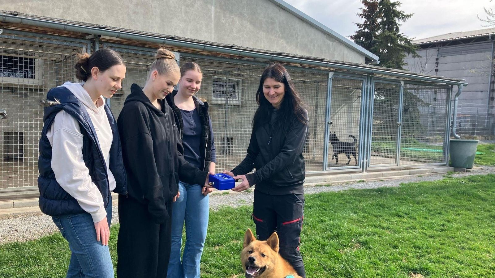 Gute-Nachrichten-aus-dem-Weimarer-Land-Die-Top-14-aus-2025