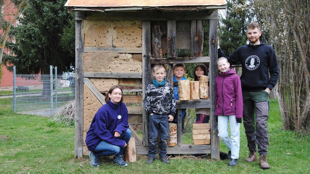 55+ Der Garten Wird In Ordnung Gebracht, Im frühling jucken ihre