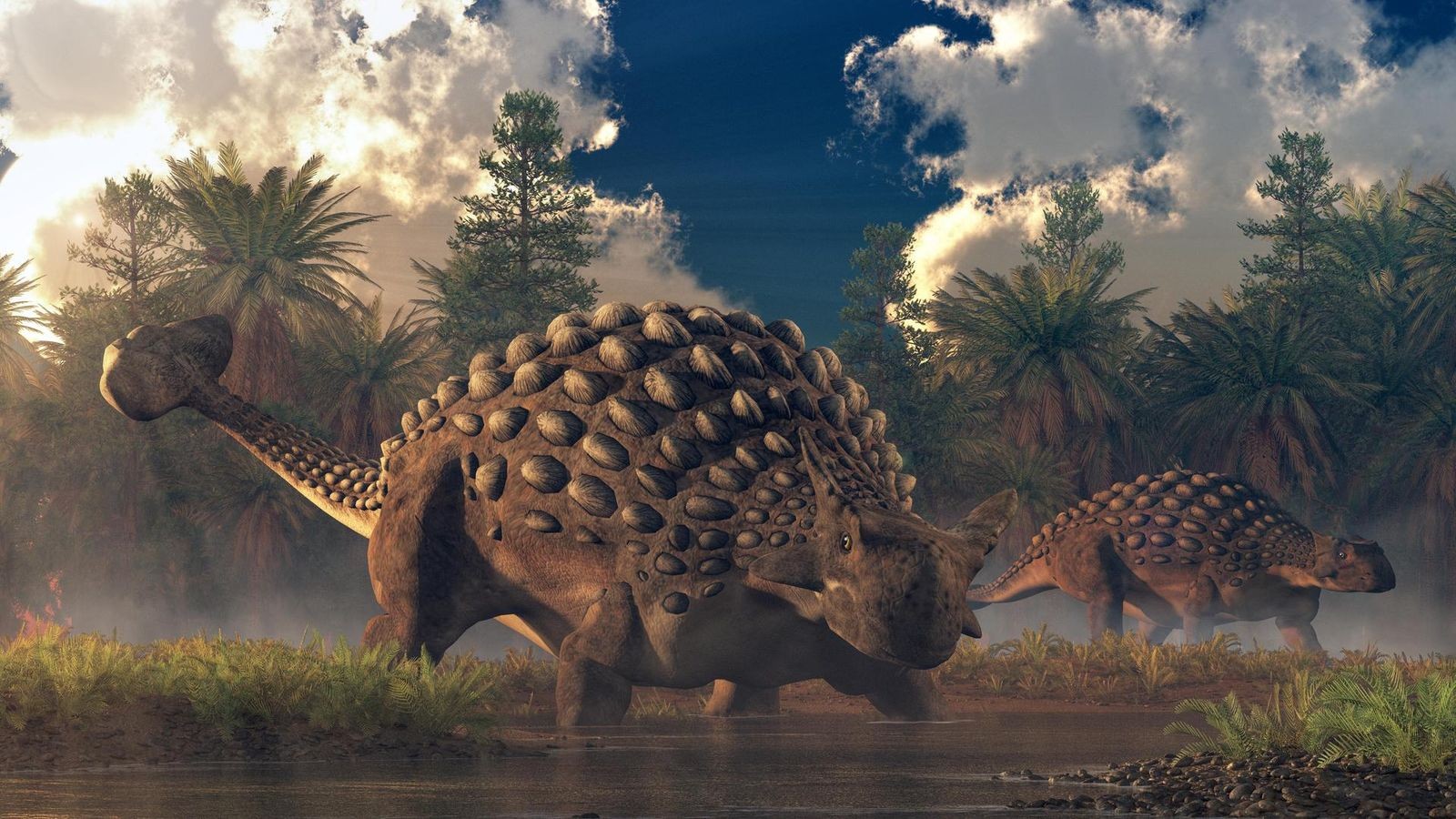 Erstaunlicher-Urzeit-Fund-Dinosaurierspuren-in-Kanada-entdeckt