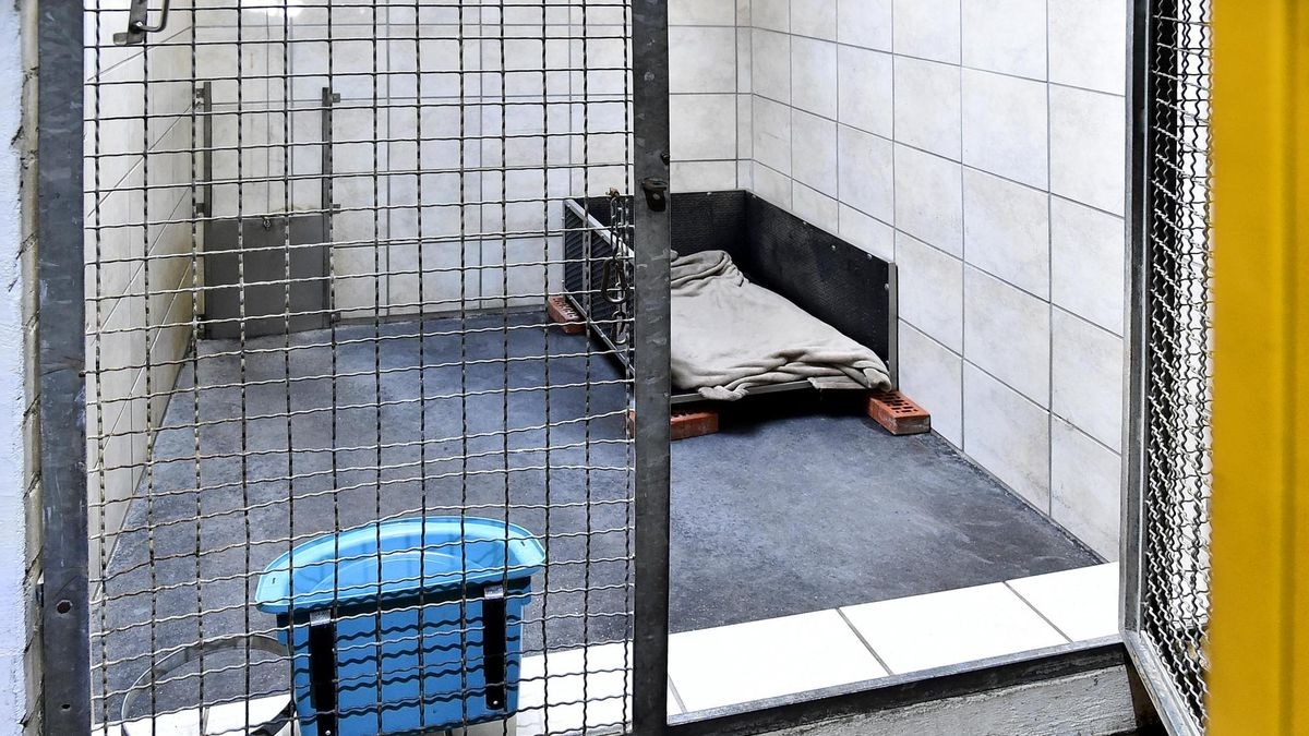 Tierheim Witten in Angst Gestohlener Hund braucht Medikamente