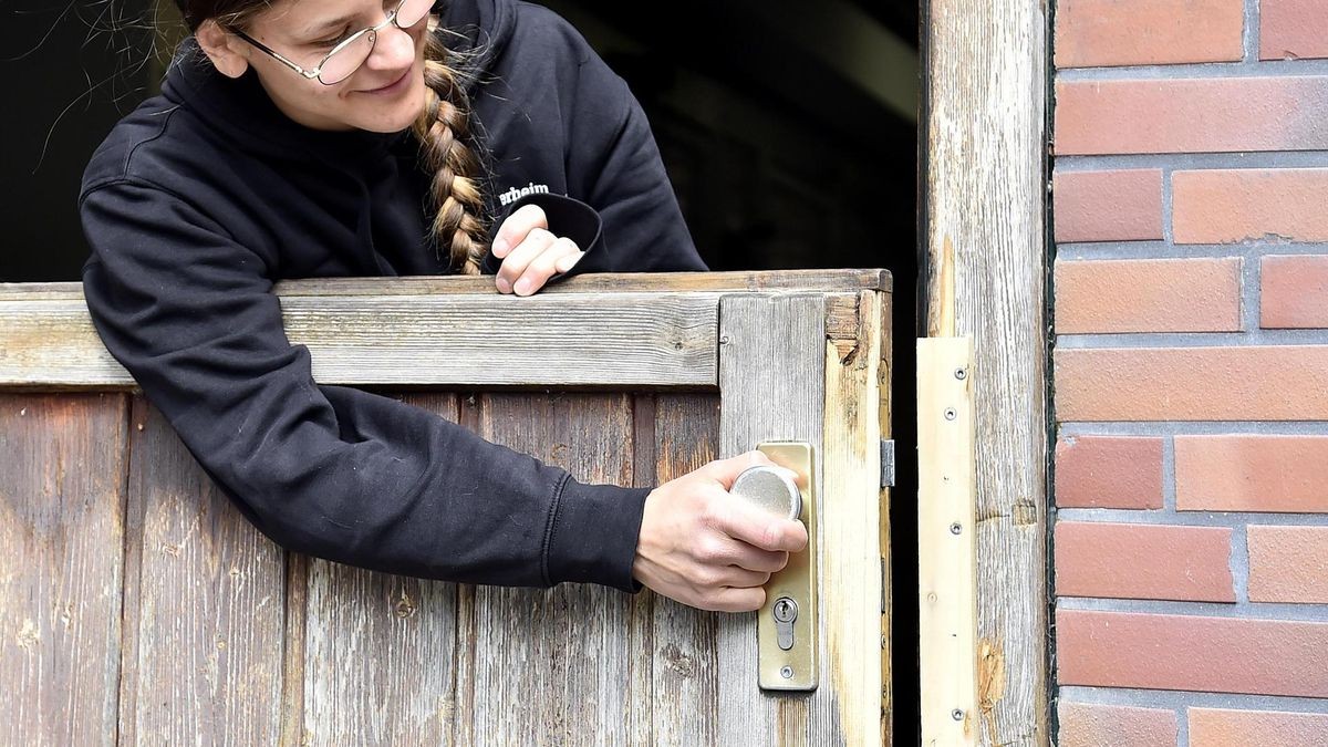 Tierheim Witten in Angst Gestohlener Hund braucht Medikamente