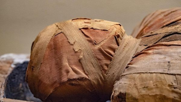 Der „luftgetrocknete Kaplan“ gibt seine Geheimnisse preis