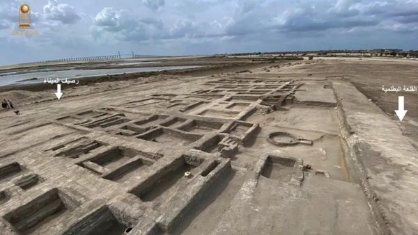 Antike Baumallee in Ägypten: Spur zu alter Festung entdeckt