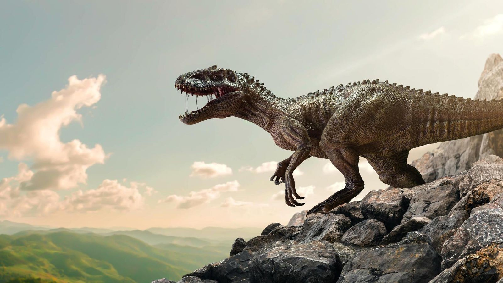 Tyrannosaurus-rex-Forscher-l-sen-R-tsel-um-Herkunft