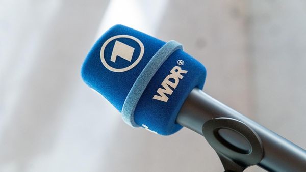 Vertrauen in Medien und Institutionen steigt laut Umfrage wieder