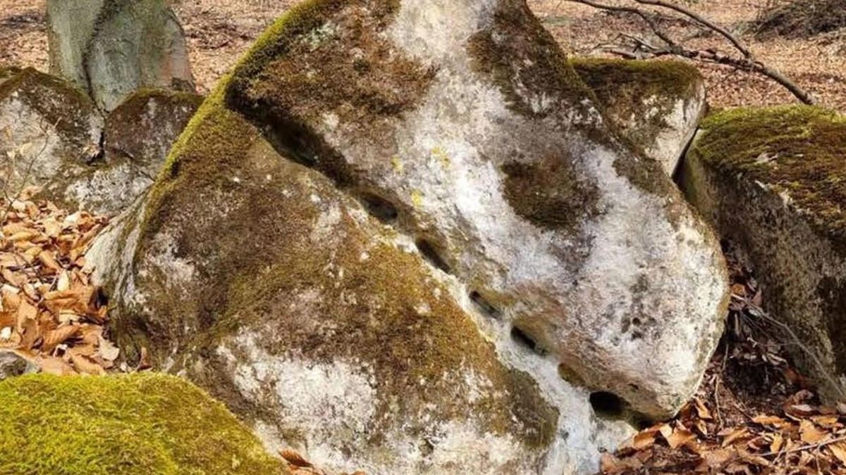 Ein Gesteinsbrocken in einem Wald, darin sind Fassungen für Spaltkeile zu sehen.