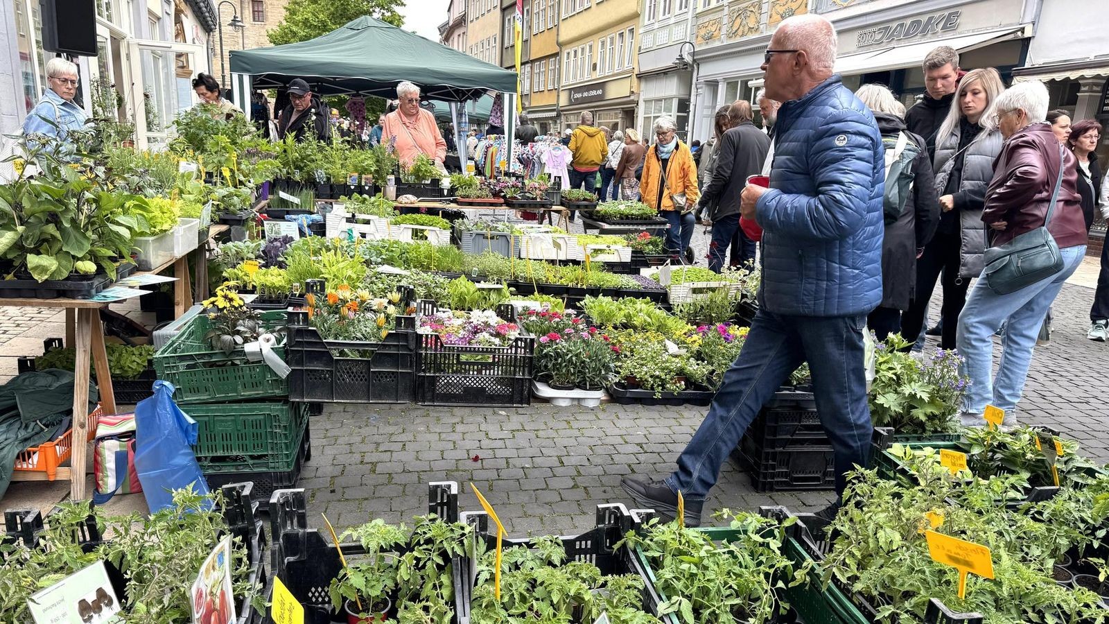 Ob-Blumen-Genuss-oder-Handwerk-ein-Fest-im-Unstrut-Hainich-Kreis-sucht-Mitmacher